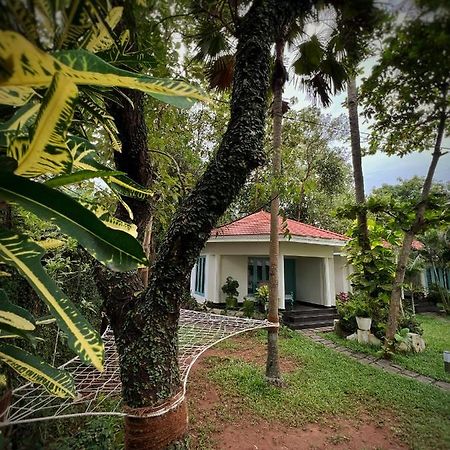 Paddle Cult Varkala Exterior foto